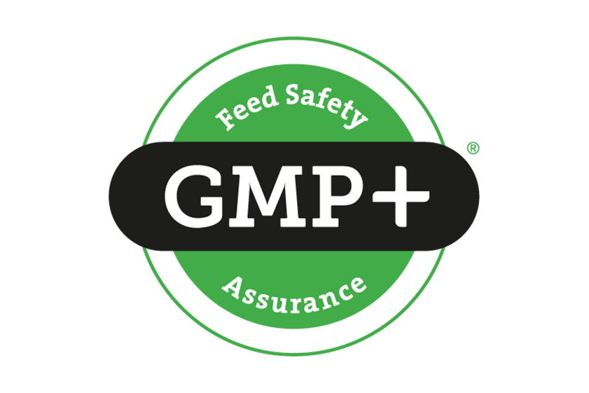 GMP